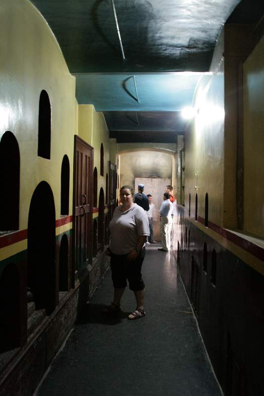 India & Nepal 2011 - 0401